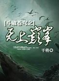 斗破苍穹之无上巅峰 唐辉