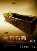 金棺陵兽百科