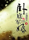 军人卧底言情
