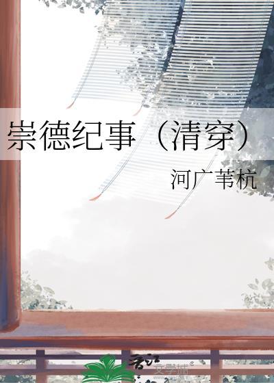崇德记事清穿后金