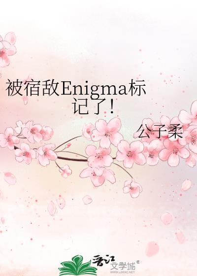 被宿敌Enigma标记了晋江