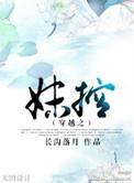 穿越之妹控晋江