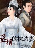 丞相的枕边妻讲什么