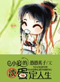 小妾阅读全文免费无弹窗