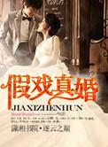 假戏真婚高干文推荐