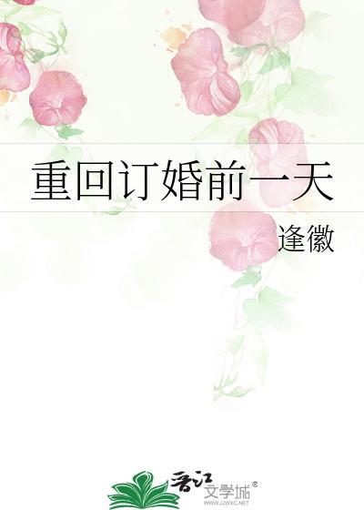 重回订婚前一天晋江
