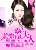 嗨检察官先生全文阅读