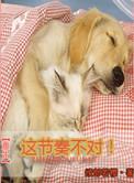 这节奏不对