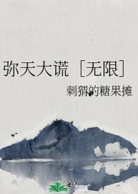 弥天大谎的弥是什么意思