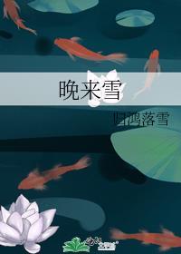 晚来雪by归鸿落雪讲的什么