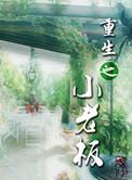 重生之小老板作者弦