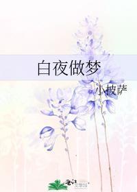 白夜做梦讲的什么