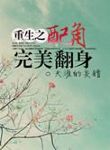 重生之配角翻身txt宝书