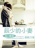 名门盛宠叶少的隐婚新娘