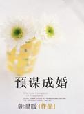 预谋成婚 朝温暖番外