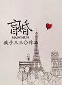 盲婚哑嫁国语版
