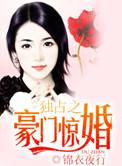 独占之豪门惊婚剧情介绍