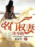 名门之恋 冷少成瘾