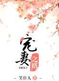 宠妻之路在线阅读