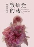 致灿烂的你2番外