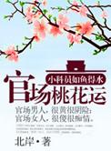 官道之步步高升完整版