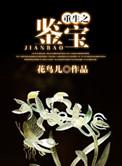 重生之鉴宝大亨 i清秋