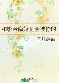和影帝隐婚是会被撩的青灯辞酒