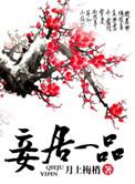 一妾是什么意思