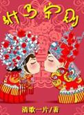 驸马守则po笔趣阁