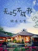 无巧不成书李书轶全文免费阅读