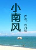 小南风改编的电视剧
