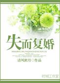 失而复婚 清风似月讲的什么