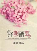 择期婚变好看吗