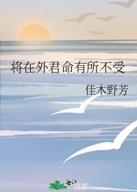 爱上白姐公众号