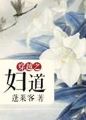 穿越之妇道格格党