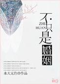 不只是婚姻by李小雾书包网