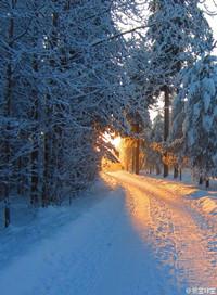 归路全集免费观看完整版电视剧