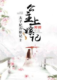 太子妃升职记故事