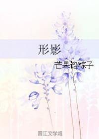 形影是什么意思