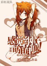 家教all纲吉晋江文