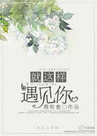 就这样遇见了你作文