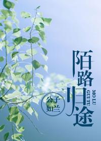 陌路归途第三季完整版