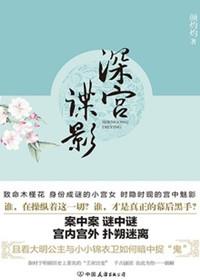 深宫谍影12集