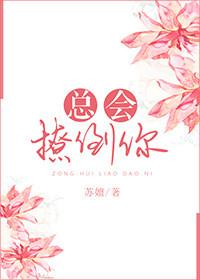 总是在撩我