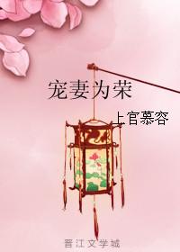 宠妻为上全文