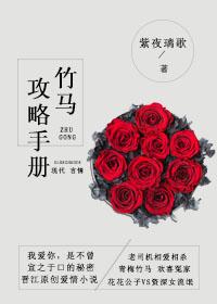 竹马攻略19话