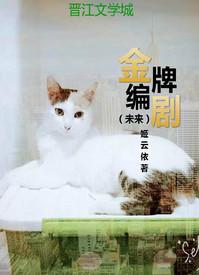 金牌编剧是什么意思