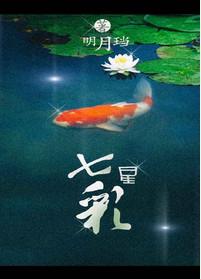 七星彩开奖号查询