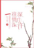 一往情深深几许清穿