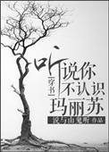 听说你不认识玛丽苏盘